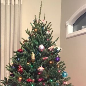 Meet your Posher, Blake